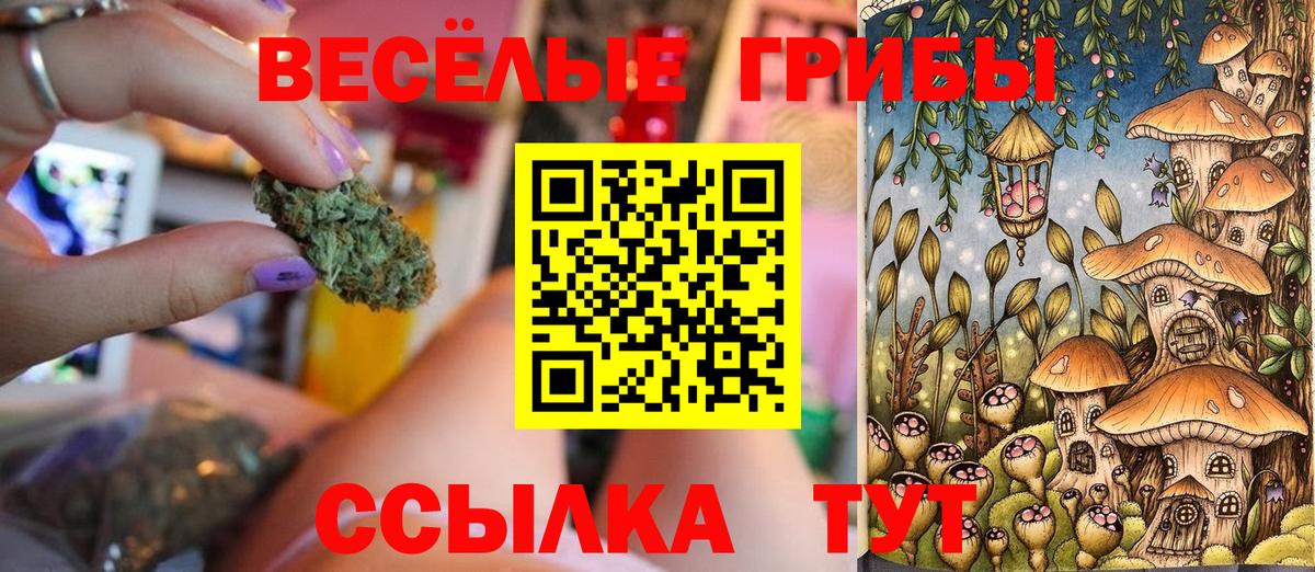 Галлюциногенные грибы мухоморы  Вход с VPN  Орёл 