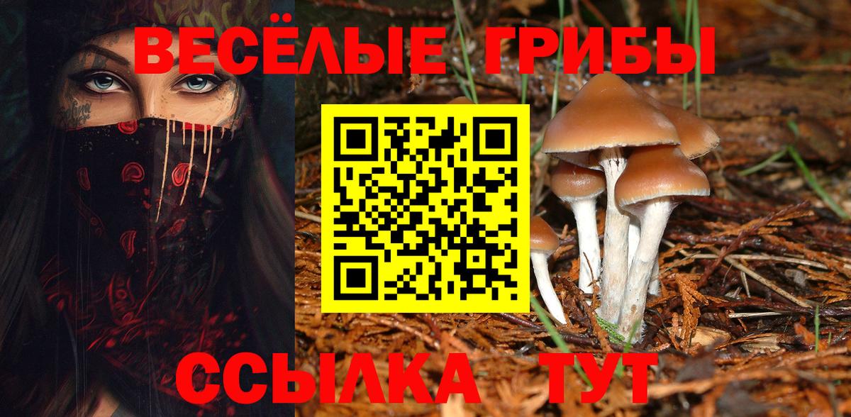 Псилоцибиновые грибы мицелий Орёл